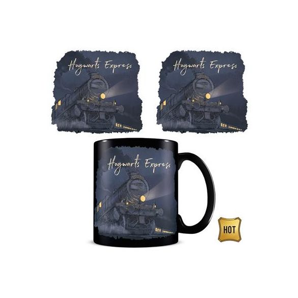 Harry Potter (Glimmer of Hope) Heat Change Mug-SCMG28035
