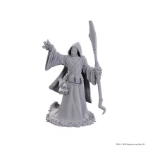 D&D Nolzur's Marvelous Miniatures: Star Spawn Larva Mage-90754