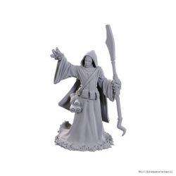 D&D Nolzur's Marvelous Miniatures: Star Spawn Larva Mage-WZK90754