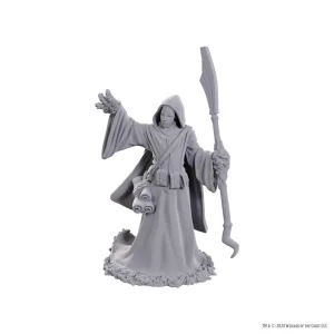 D&D Nolzur's Marvelous Miniatures: Star Spawn Larva Mage-90754