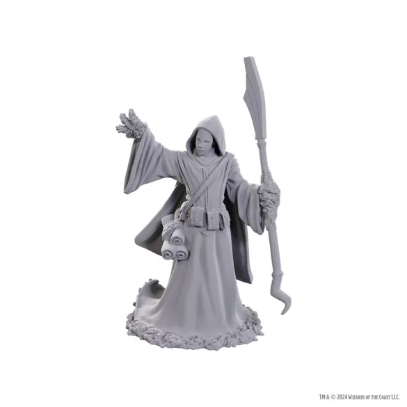 D&D Nolzur's Marvelous Miniatures: Star Spawn Larva Mage-90754