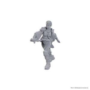 D&D Nolzur's Marvelous Miniatures: Swashbuckler-WZK90762