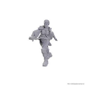 D&D Nolzur's Marvelous Miniatures: Swashbuckler-90762
