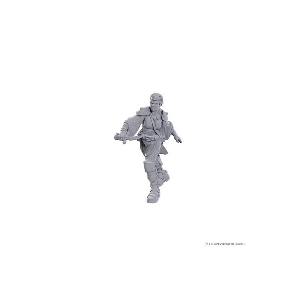D&D Nolzur's Marvelous Miniatures: Swashbuckler-WZK90762