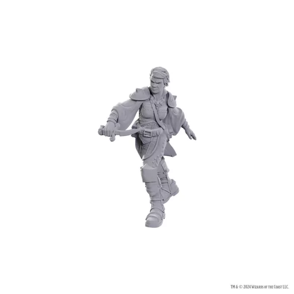 D&D Nolzur's Marvelous Miniatures: Swashbuckler-90762