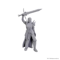 D&D Nolzur's Marvelous Miniatures: Blackguard-90772