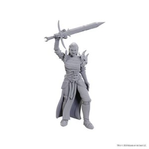 D&D Nolzur's Marvelous Miniatures: Blackguard-WZK90772