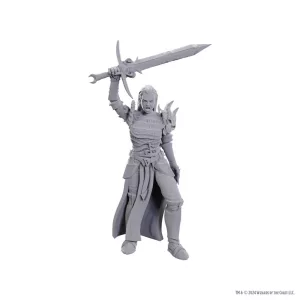 D&D Nolzur's Marvelous Miniatures: Blackguard-90772