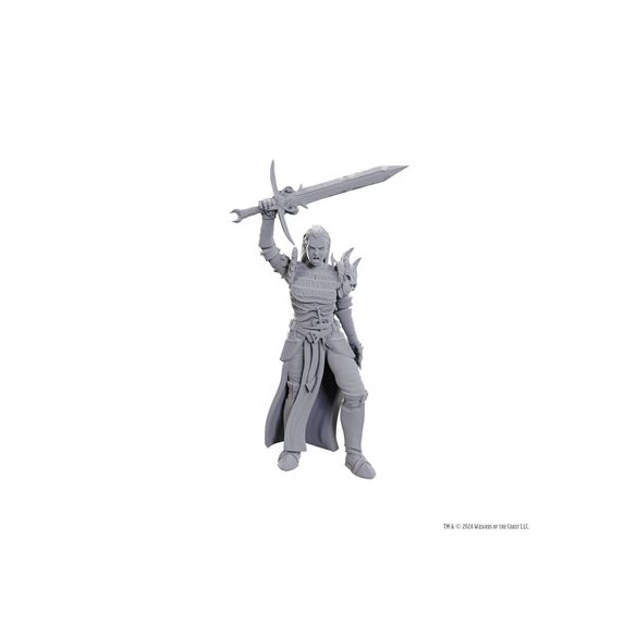 D&D Nolzur's Marvelous Miniatures: Blackguard-WZK90772