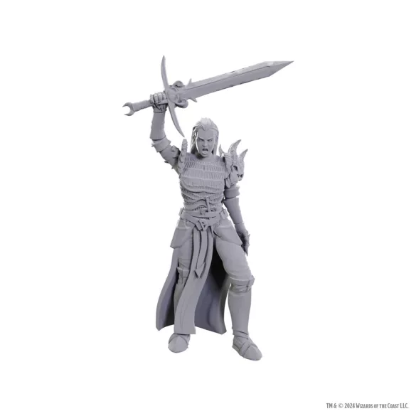 D&D Nolzur's Marvelous Miniatures: Blackguard-90772