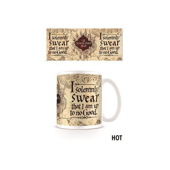 Dele - Harry Potter (The Marauders Map) Heat Change Mug-SCMG24333