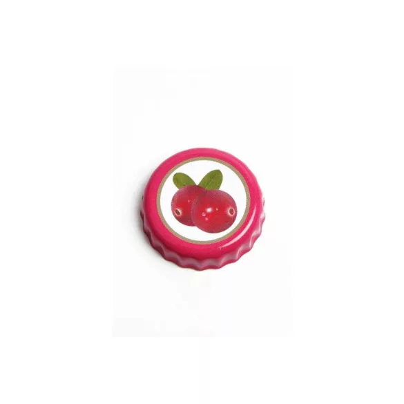 "Nuka Cola Cranberry" Glass Bottle & Cap-1150397