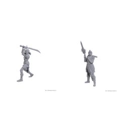 D&D Nolzur's Marvelous Miniatures: Special Edition Baldur's Gate 3 — Lae'zel & Shadowheart - EN-WZK96365