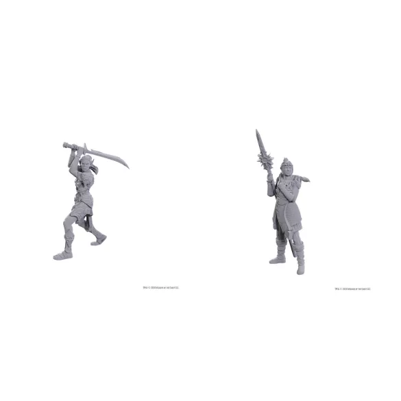 D&D Nolzur's Marvelous Miniatures: Special Edition Baldur's Gate 3 — Lae'zel & Shadowheart-96365