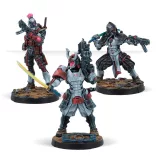Infinity: Shindenbutai Expansion Pack Gamma miniatűra bővítőcsomag - angol kiadás