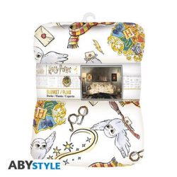 HARRY POTTER - Blanket - Harry's World-ABYHOM027