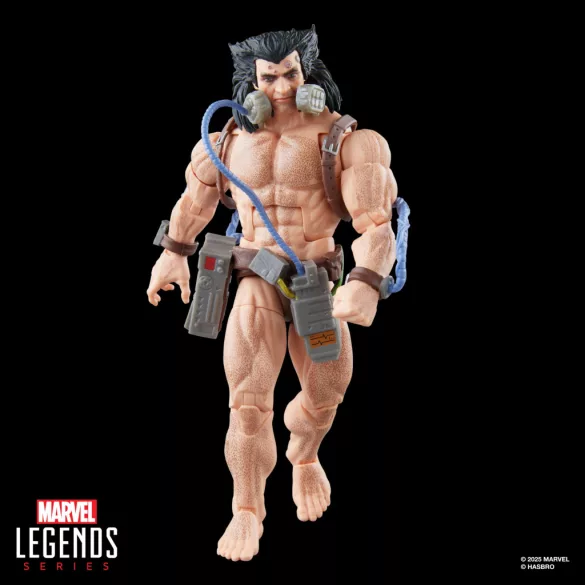 Marvel Legends Series Wolverine (Weapon X)-G06445L0