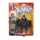 Marvel Legends Series Storm-G06455L0