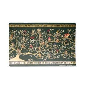Set of 4 placemats - Black Family - Harry Potter-MAP4262