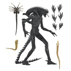 NECA 