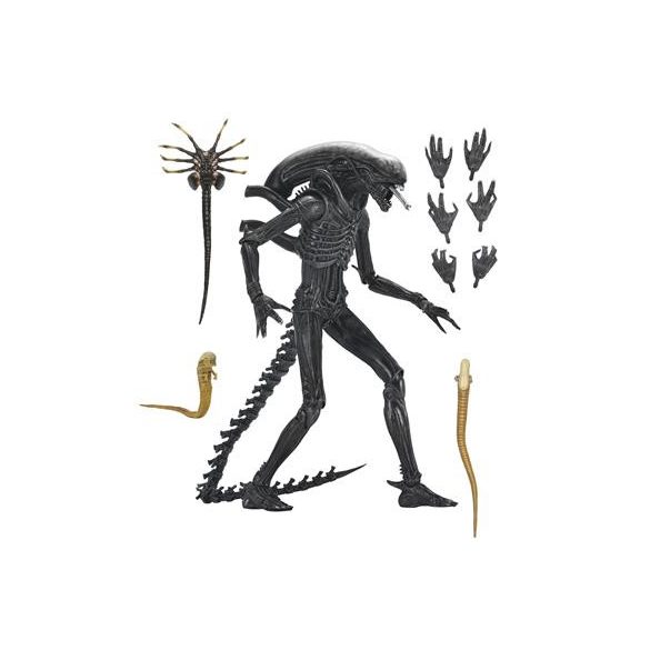Alien: Romulus- 7" Scale Action Figure - Ultimate Xenomorph XX121-NE51742-01