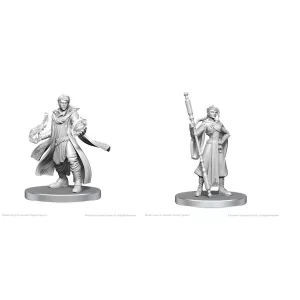 Critical Role Unpainted Miniatures: Beauregard Lionett & Caleb Widogast-90789