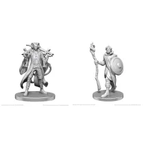 Critical Role Unpainted Miniatures: Mollymauk Tealeaf & Caduceus Clay-90790