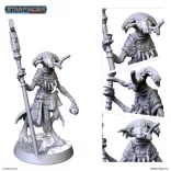Starfinder Miniatures: Keskodai the Mystic - EN-PSF0077