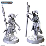 Starfinder Miniatures: Keskodai the Mystic - EN-PSF0077
