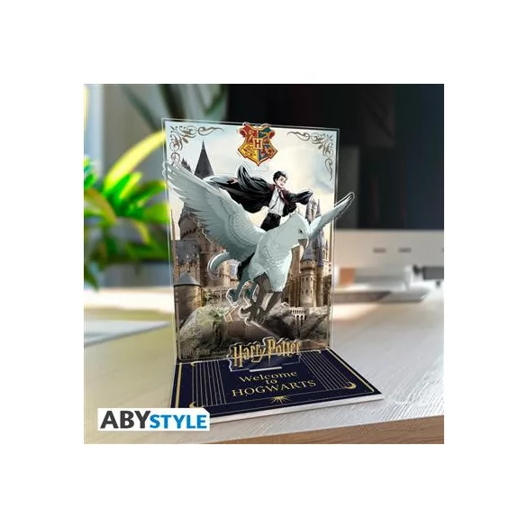 Harry Potter - Acryl Diorama - Harry & Buck in Hogwarts-ABYACF217