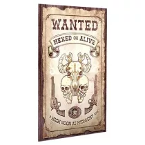 Cypher System - Wanted Hexed Or Alive - EN-MCG408