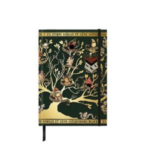 Hard cover notebook Family Black - Harry Potter-MAP5105
