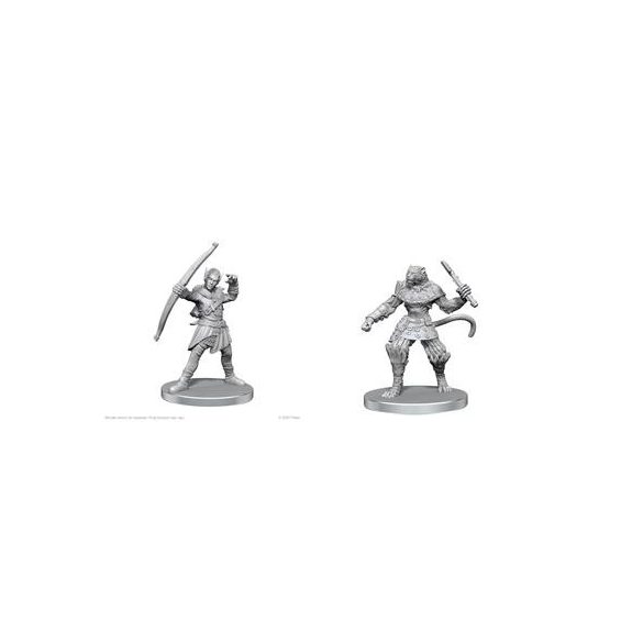 Pathfinder Battles Deep Cuts: Elf Hunter & Catfolk Bandit - EN-WZK97582