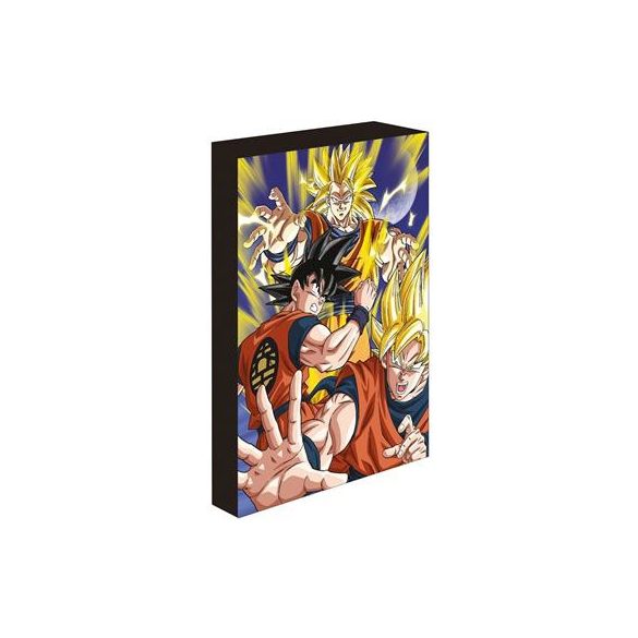 Dragon Ball Z (Goku Super Saiyan) 30X40 Light Up Canvas-WDCL12537