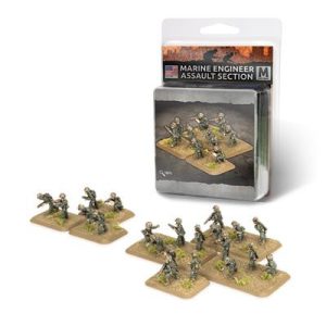 Marine Engineer Assault Section (x21 figures) - EN-US816
