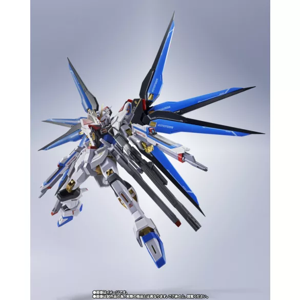 METAL ROBOT <SIDE MS> STRIKE FREEDOM GUNDAM TYPE Ⅱ-TN67320