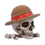 One Piece Luffy Jolly Roger Box-B7185C25