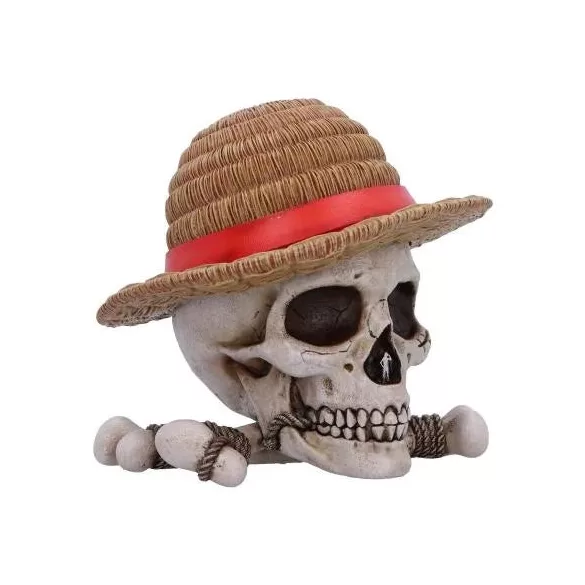 One Piece Luffy Jolly Roger Box-B7185C25