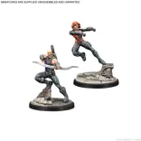 Marvel Crisis Protocol - SHIELD Affiliation Pack - EN/FR/SP