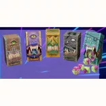 Hidden Wonders (Brick of 25 Poly Sets)-38000B