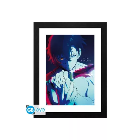 SOLO LEVELING - Framed print "Jinwoo" (30x40)-GBYDCO696