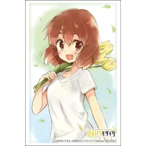 Bushiroad Sleeve Collection HG Vol.4954 Kin-Iro Mosaic (75 Sleeves)-034418
