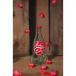 Fallout Fizz Club: Nuka-Cola-1177937