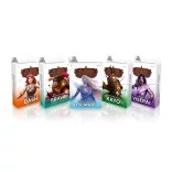 Flesh & Blood TCG - Silver Age: Chapter 1 Deck Display (10 pakli) - FR