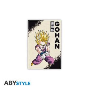 DRAGON BALL - Standard Magnet - DBZ/ Gohan-ABYMGN052