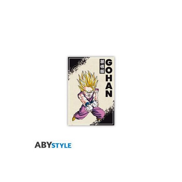 DRAGON BALL - Standard Magnet - DBZ/ Gohan-ABYMGN052