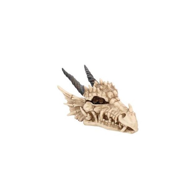 Dragon Skull Box 20cm-AL50057