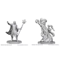 D&D Nolzur's Marvelous Miniatures: Drow Mage & Yochlol-90858