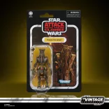 Star Wars The Vintage Collection Poggle the Lesser-G26025X0