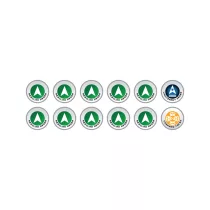 N4 Infinity Tokens Regular Orders Green (12)-P00266